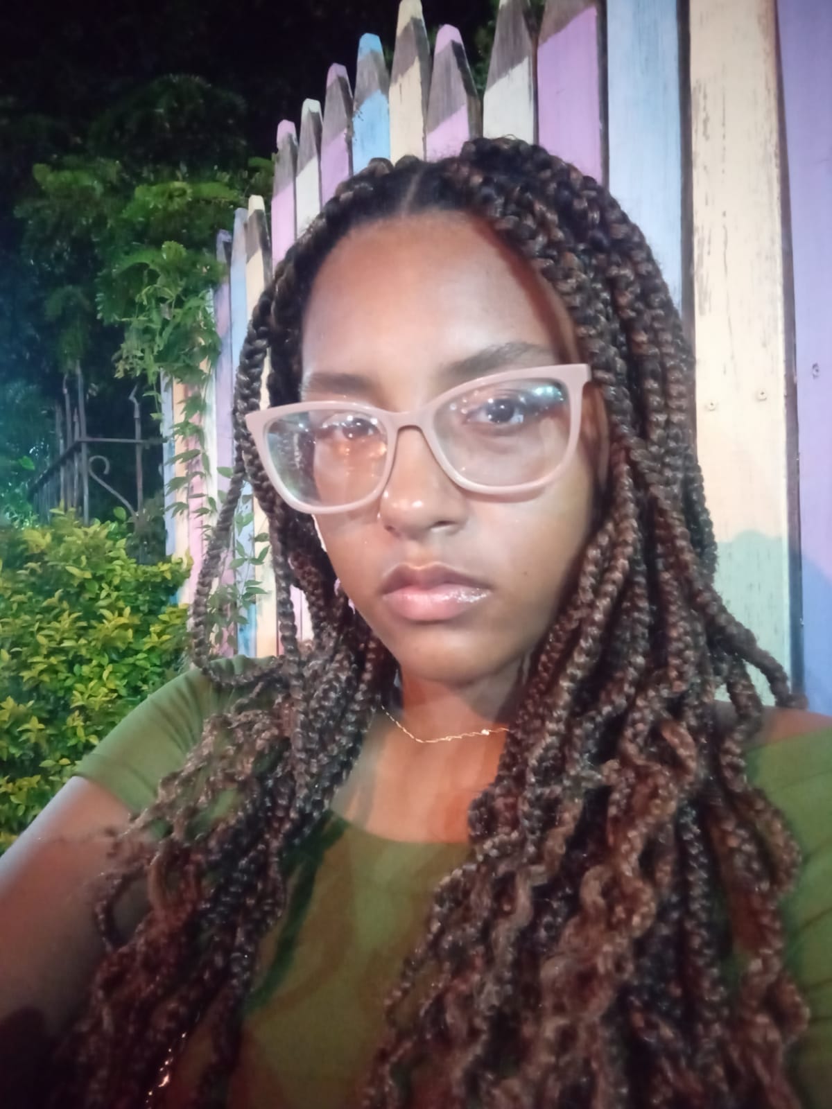 Gabrielly da Costa Penna